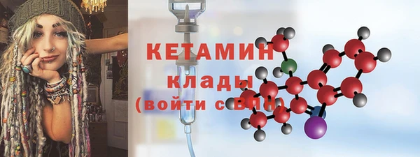 индика Няндома