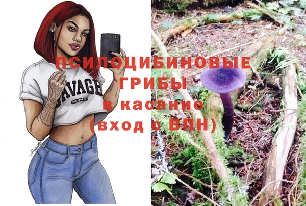 ПСИЛОЦИБИНОВЫЕ ГРИБЫ Баксан