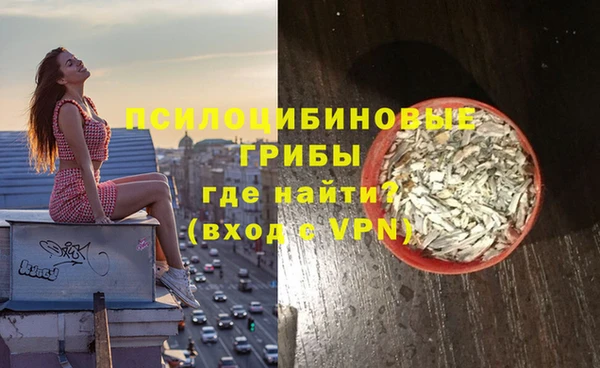ПСИЛОЦИБИНОВЫЕ ГРИБЫ Баксан