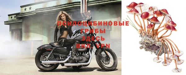 скорость mdpv Балахна