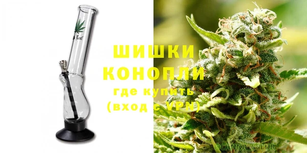 ПСИЛОЦИБИНОВЫЕ ГРИБЫ Баксан